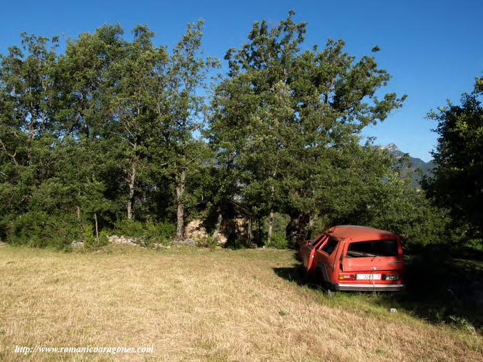 TEMPLO ESCONDIDO ENTRE LA ARBOLEDA. cOCHE ABANDONADO REFERENCIA